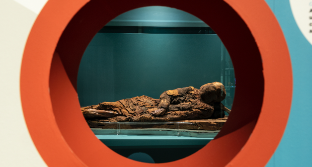 Ricercatori UniTo ricavano informazioni molecolari da una mummia egizia senza pregiudicare l'integrità del reperto